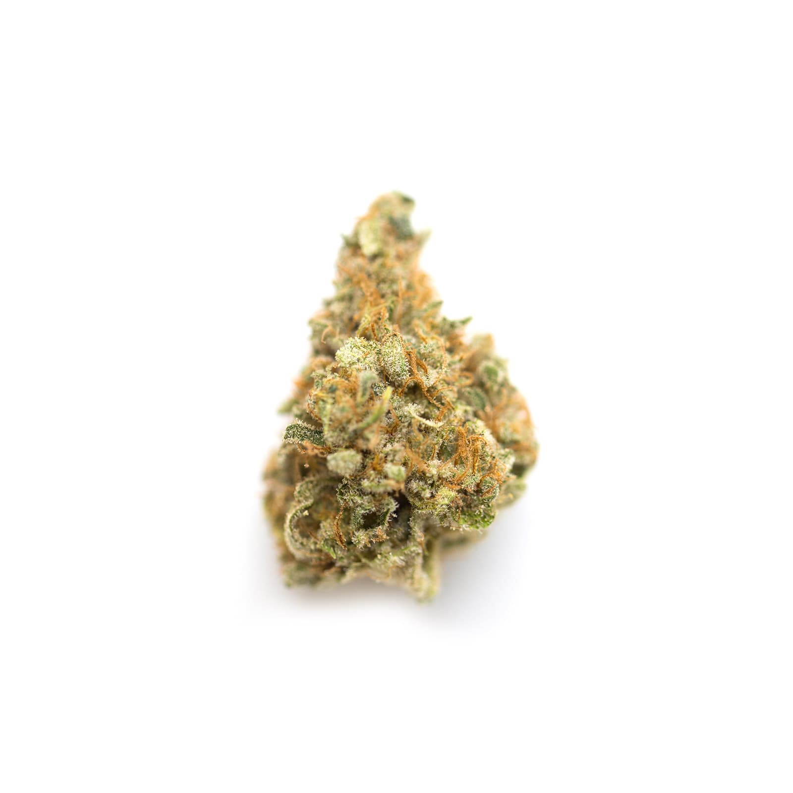 Apricot cannabis product 28g package from Daily Ounces strain 303 with 41 percent THC content