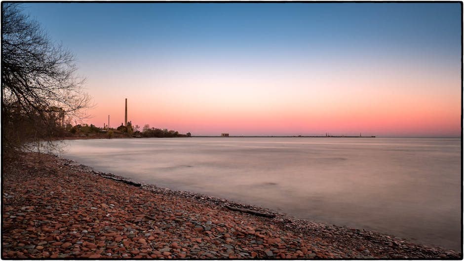 Mississauga weed growing along the Lake Ontario shoreline at sunset