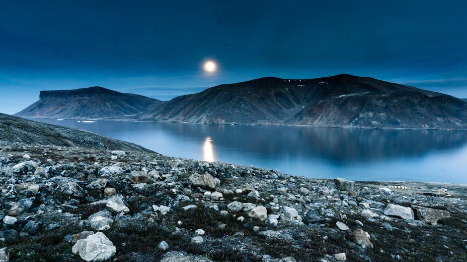 Nunavut weed growing wild against a rugged Arctic landscape under a moonlit sky
