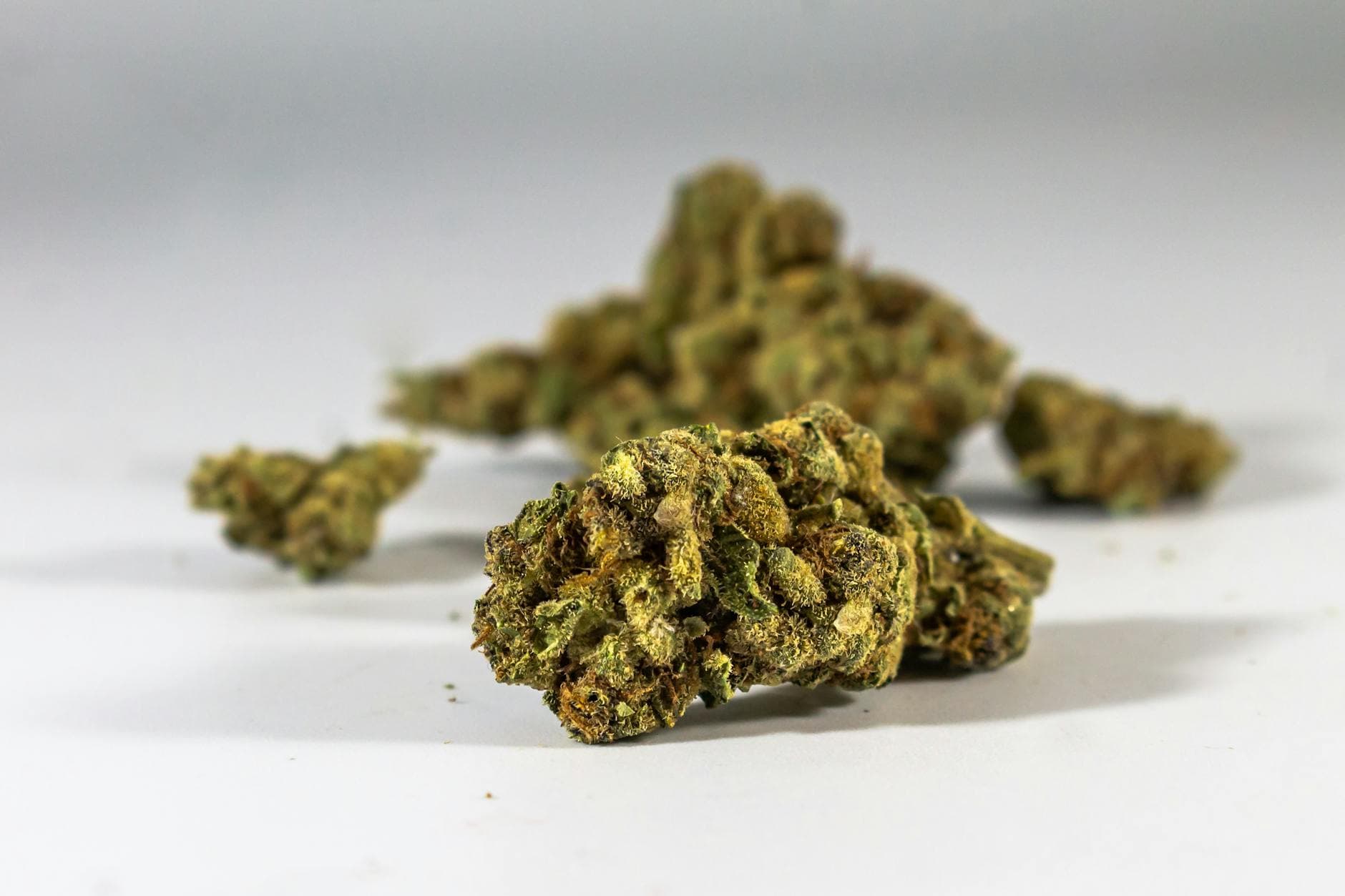 Buy Cannabis Online With Delivery to Manitoba