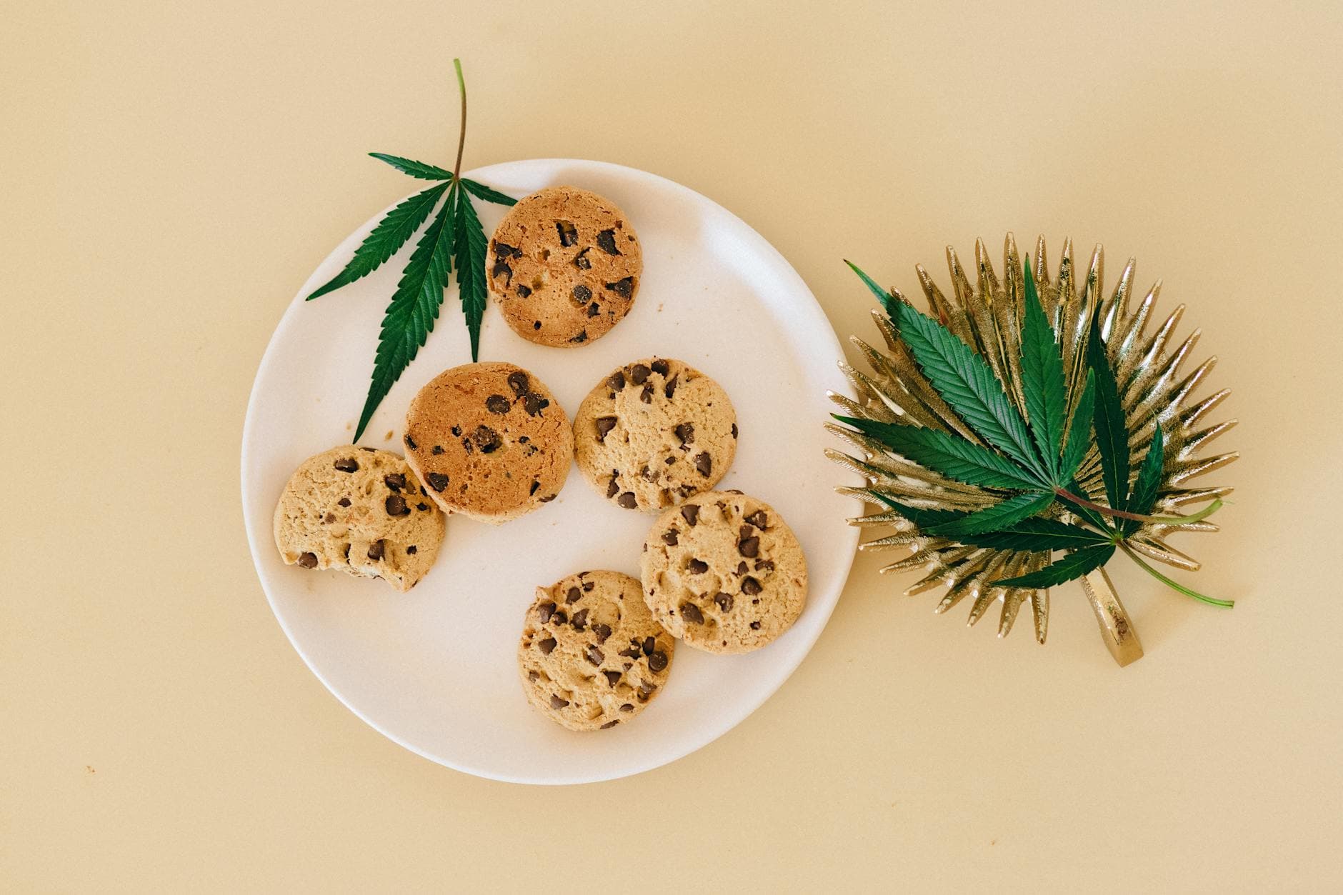 How to Make Cannabis Edibles at Home: Beginner's Guide