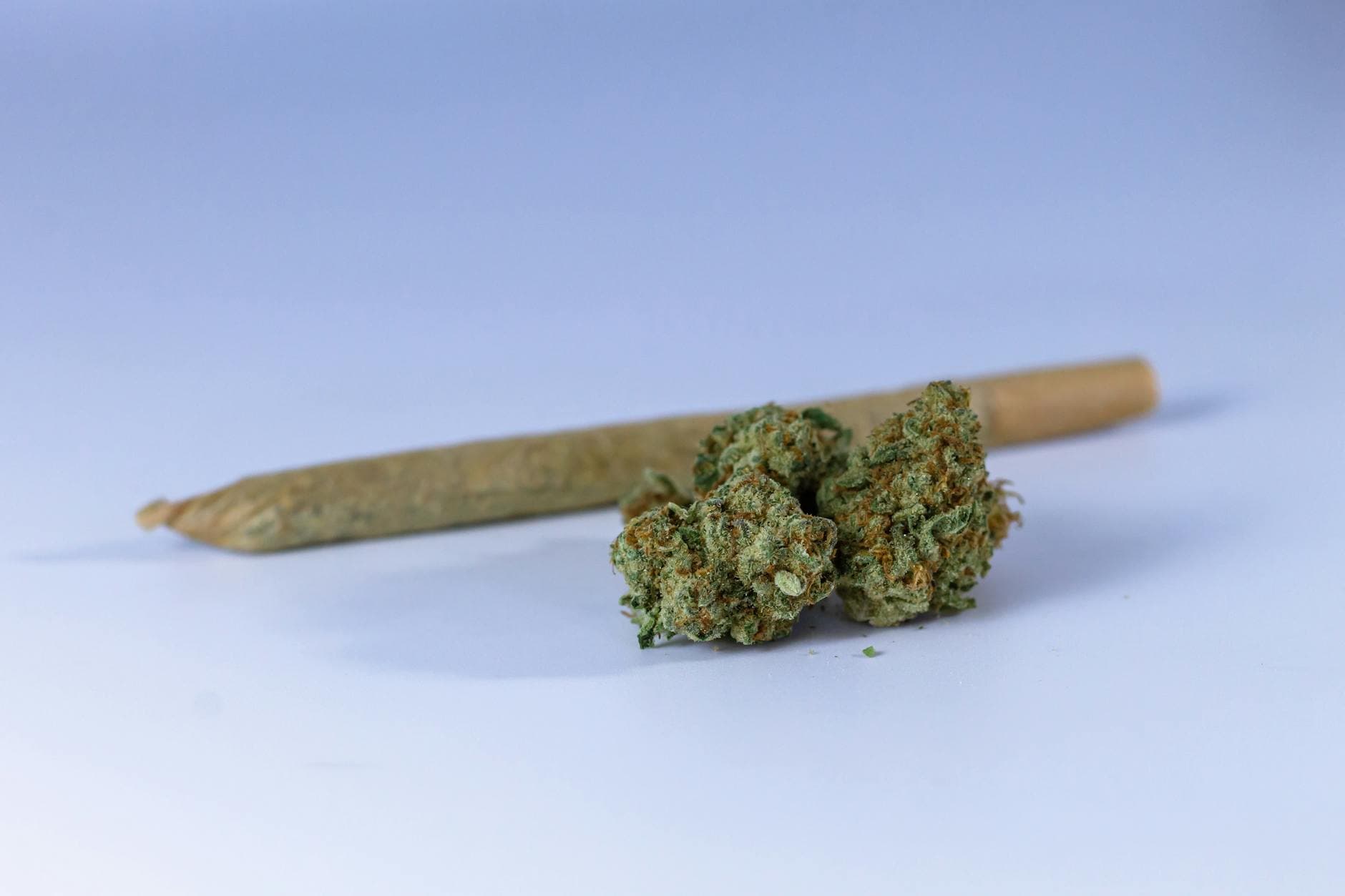 Indica vs Sativa vs Hybrid: Effects Chart & How to Choose