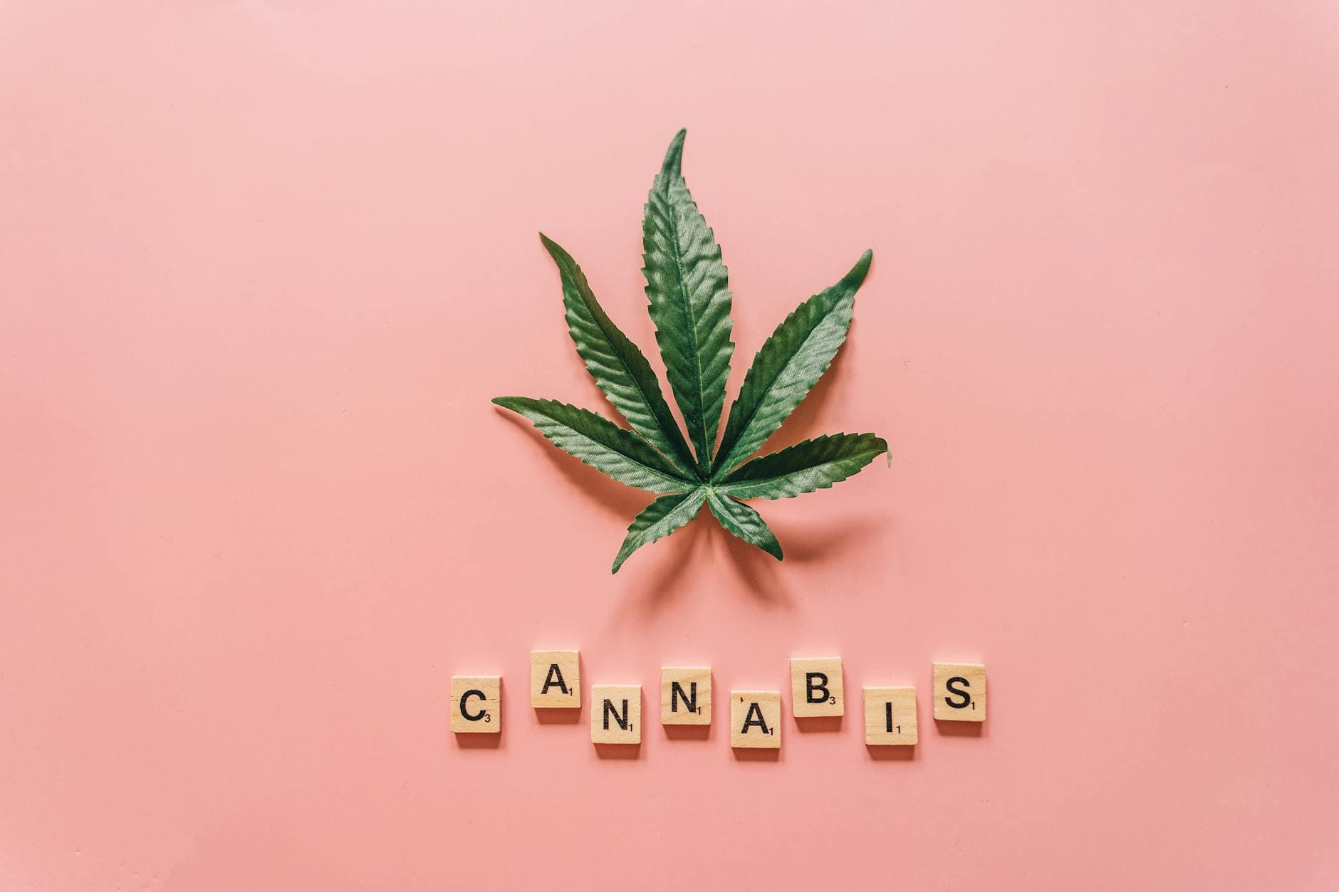 Cannabis for Period Pain: Best Strains, Edibles & Topicals