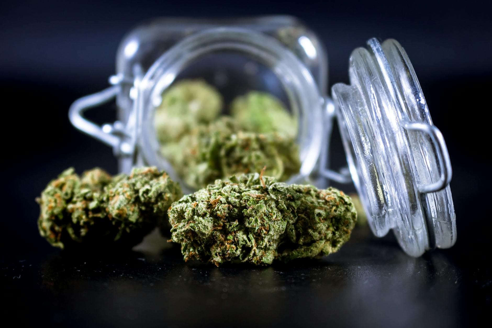 Cannabis Terpenes for Relaxation: Myrcene Linalool & More