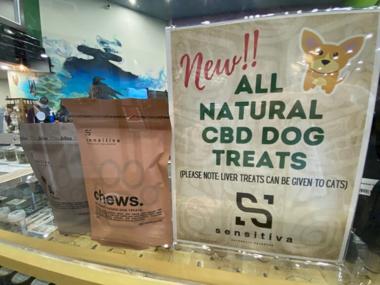 Orange and white bag of CBD dog treats displayed against a plain background