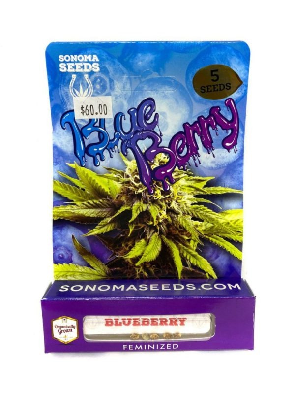 Blueberry Seeds