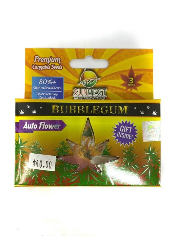 Bubblegum Seeds