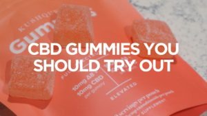 cbd-gummies-you-should-try-out