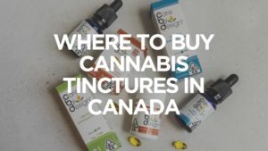 Where to Buy Cannabis Tinctures in Canada