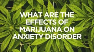 what-are-the-effects-of-marijuana-on-anxiety-disorder