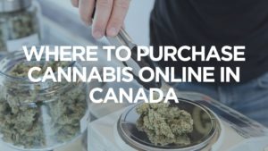 where-to-purchase-cannabis-online-in-canada