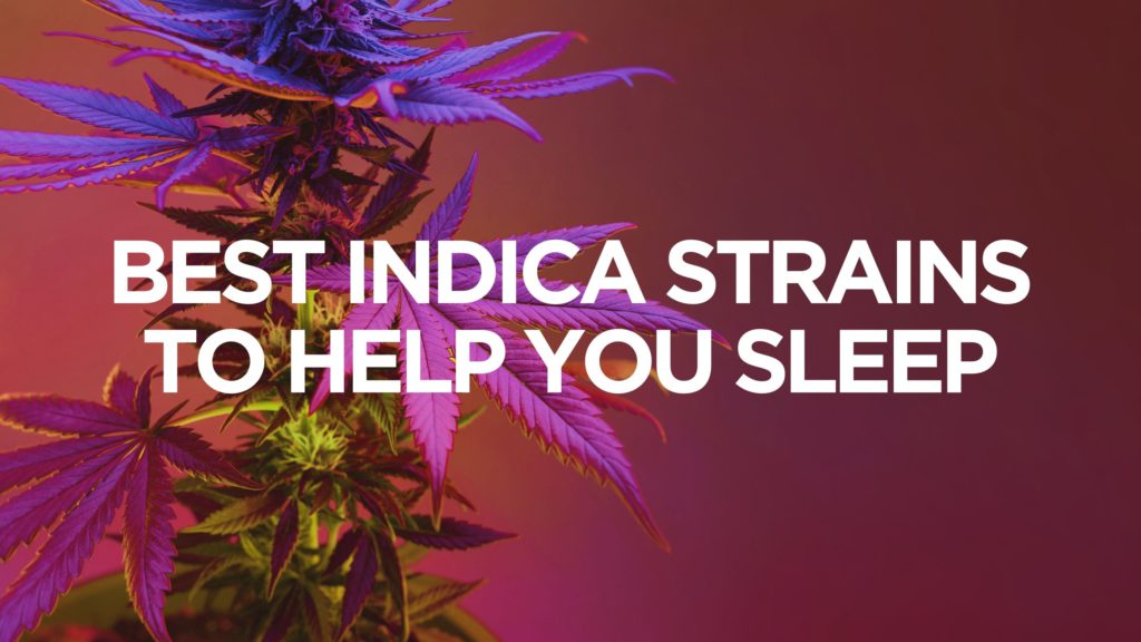best-indica-strains-to-help-you-sleep
