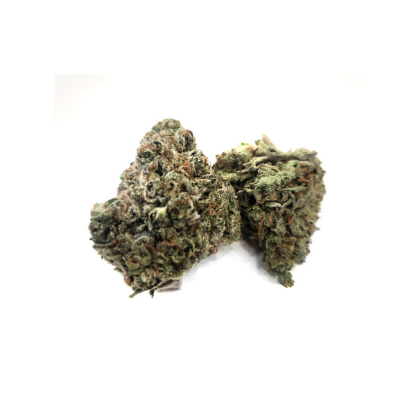 Guava