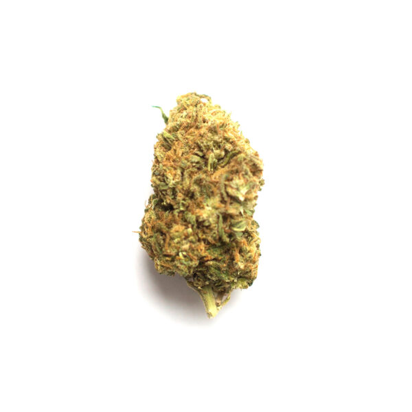 Bubble Gum