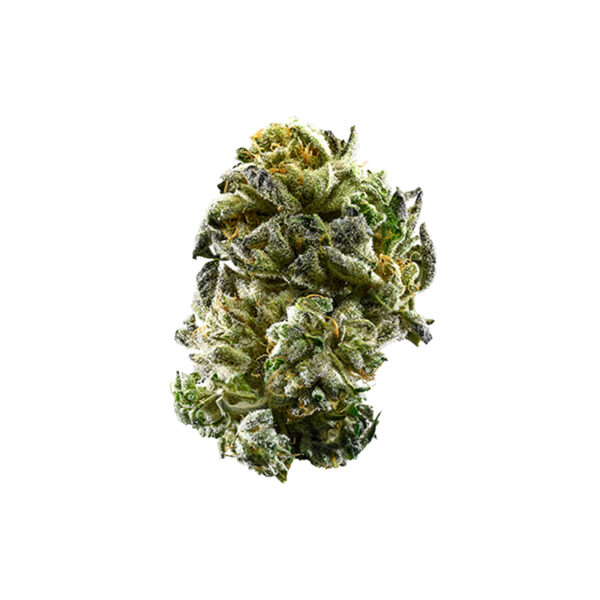 GSC