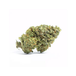 Sensi Star