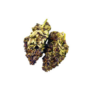 Blueberry Muffin