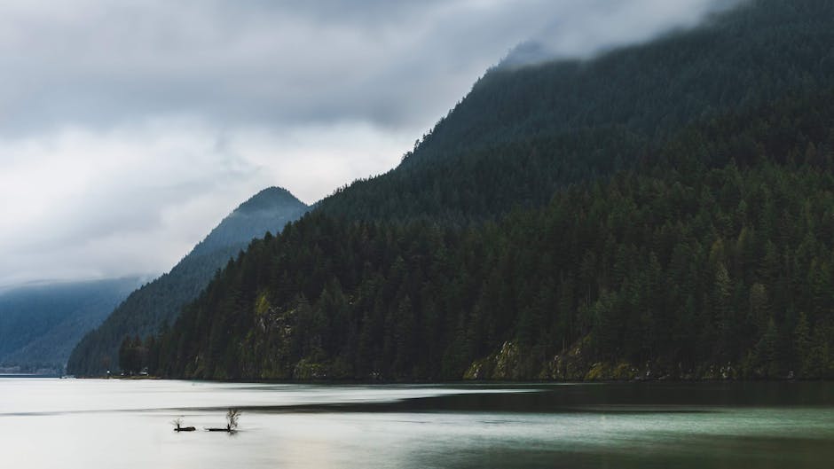 Peaceful mountain landscape with misty forest and lake in BC, Canada.