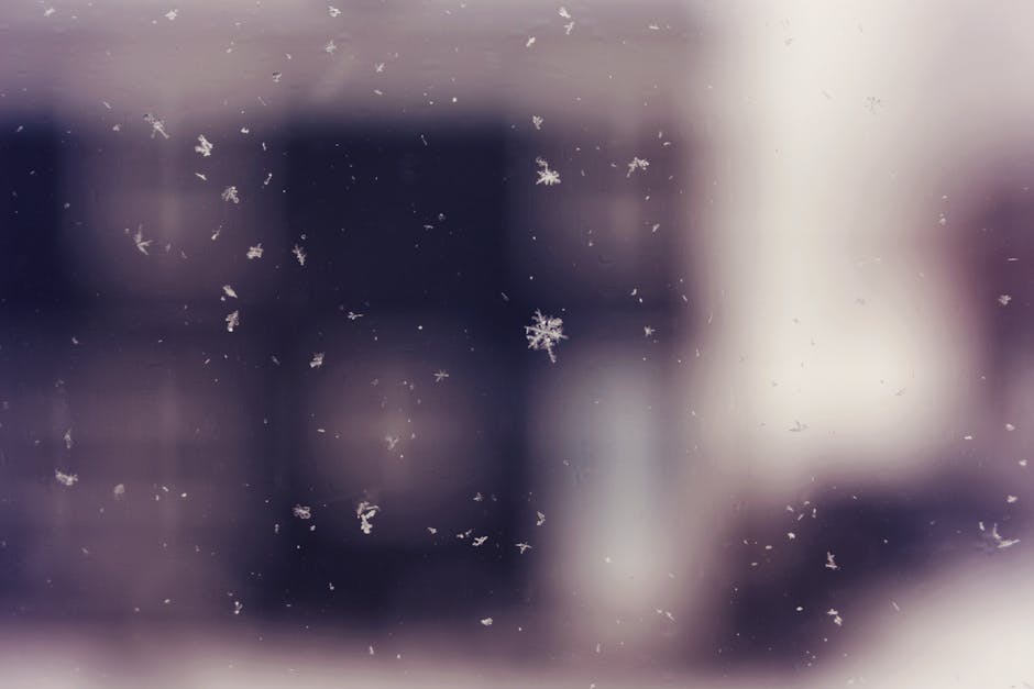 Close-up of falling snowflakes captured during winter in Moncton, NB with a blurred background.