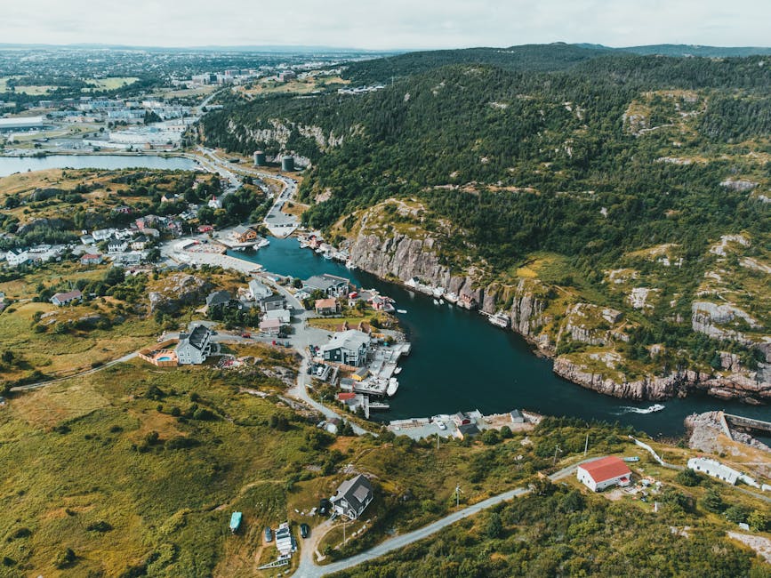 Stunning aerial shot of Quidi Vidi Village surrounded by lush cliffs and calm waters in summer.