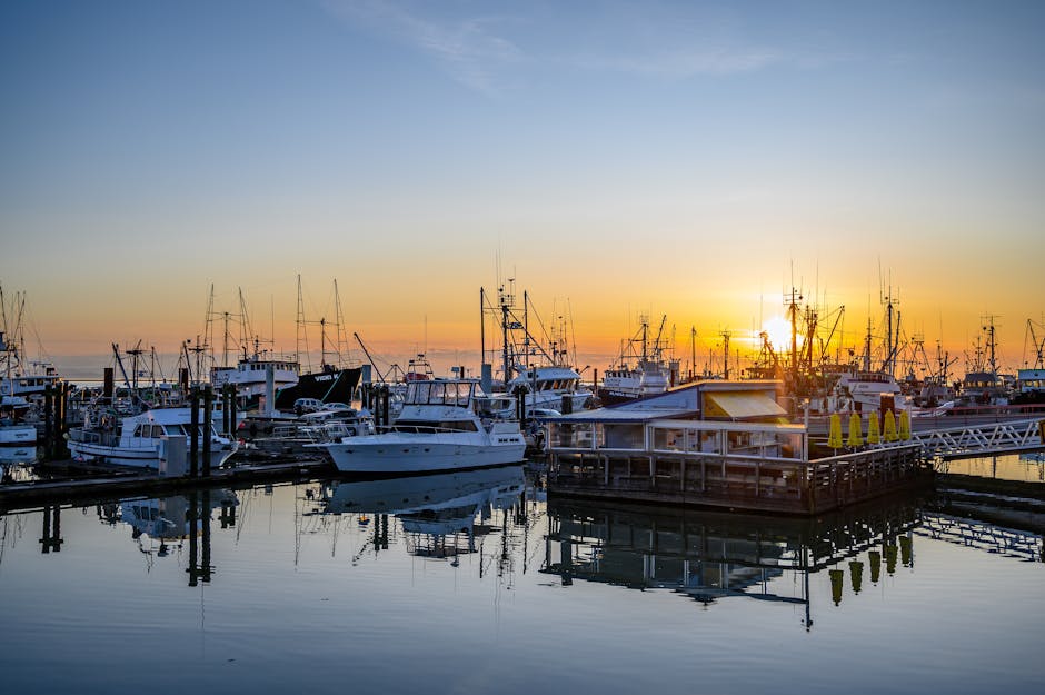 Boats docked at a marina in Surrey, British Columbia, during a beautiful sunset.